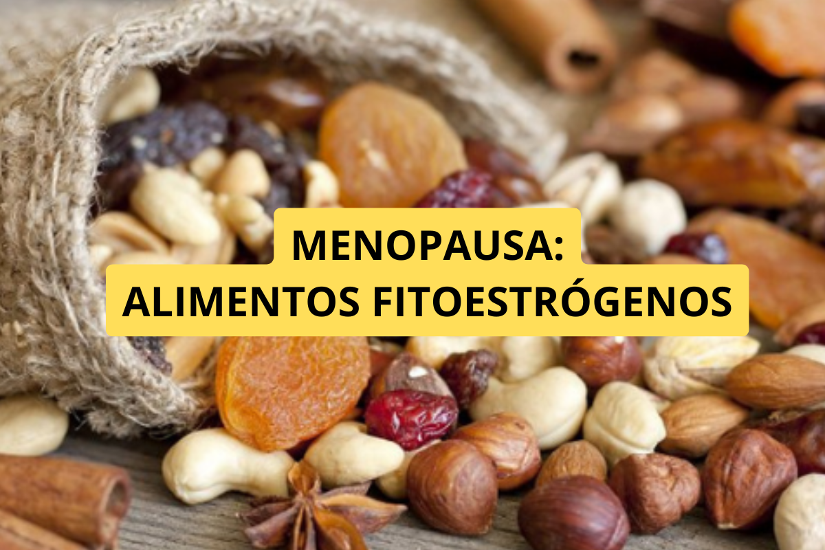 Alimentos Ricos em Fitoestrógenos: Funcionam Mesmo Durante a Menopausa?